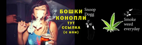 дмт Россошь