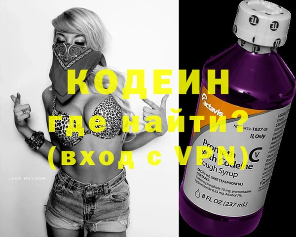 шишки Рославль