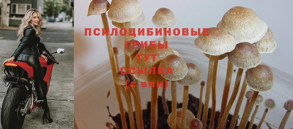 дмт Россошь