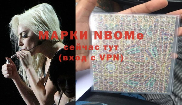 шишки Рославль