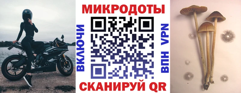 кракен ССЫЛКА  Сретенск  Галлюциногенные грибы MAGIC MUSHROOMS 